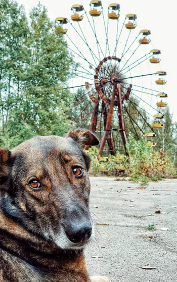 Гек или история мохнатого сталкера - Вячеслав Хватов