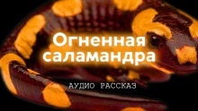 Доводы рассудка