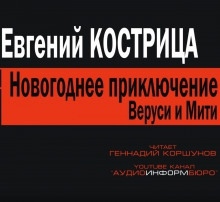 Новогоднее приключение Веруси и Мити — Евгений Кострица