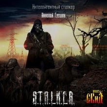 Аудиокнига S.T.A.L.K.E.R. Интеллигентный сталкер — Николай Грошев