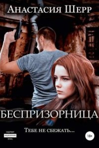 Аудиокнига Беспризорница — Анастасия Шерр