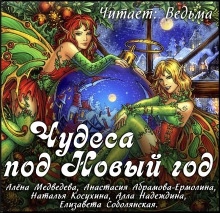 Аудиокнига Новогодний сборник 2019 — Наталья Косухина