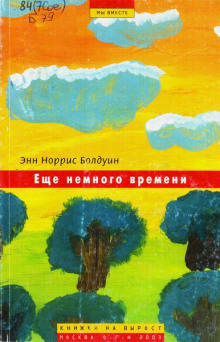 Ещё немного времени — Энн Норрис Болдуин