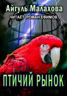 Птичий рынок — Айгуль Малахова