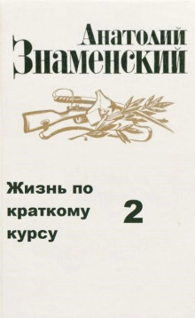 Жизнь по краткому курсу. Тетрадь 2 — Анатолий Знаменский