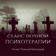 Аудиокнига Сеанс ночной психотерапии — Сергей Лысков