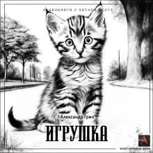 Игрушка