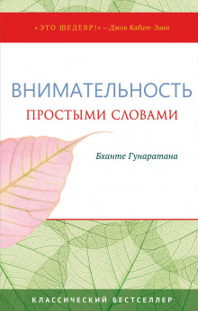 Простыми словами о внимательности. Руководство по медитации випассаны - Хенепола Гунаратана