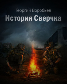 Аудиокнига S.T.A.L.K.E.R. История Сверчка — Георгия Воробьёв