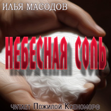 Небесная соль - Илья Масодов