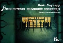 Аудиокнига Бесконечная Черная пятница — Нейт Саузард