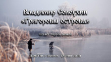 Аудиокнига Григоровы острова (Заметки о зимнем ужении рыбы) — Владимир Солоухин