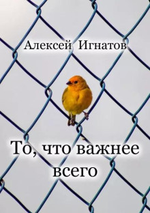 То, что важнее всего — Алексей Игнатов