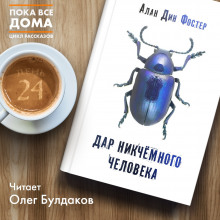 Аудиокнига Дар никчемного человека — Алан Дин Фостер