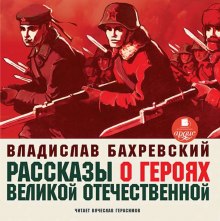 Рассказы о героях Великой Отечественной - Владислав Бахревский