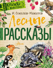 Детство - Иван Соколов-Микитов