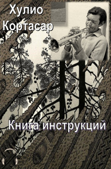 Аудиокнига Книга инструкций — Хулио Кортасар