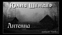 Аудиокнига Антенна — Юлия Шендер