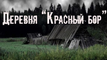 Аудиокнига Деревня «Красный бор» — Юлия Скоркина