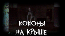 Коконы на крыше — FrFr