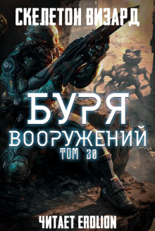 Аудиокнига Буря Вооружений. Том 30 — Визард Скелетон