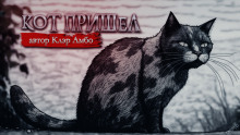 Кот пришел