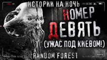 Номер девять — Random Forest