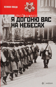 Аудиокнига Я догоню вас на небесах — Радий Погодин