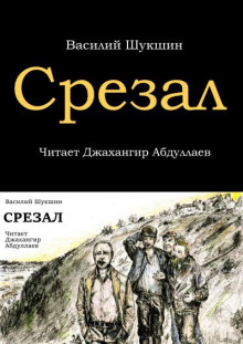 Аудиокнига Срезал — Василий Шукшин