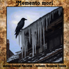 Аудиокнига Memento mori