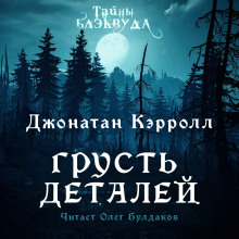 Аудиокнига Грусть деталей — Джонатан Кэрролл