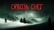 Сквозь снег - Валерий Лисицкий