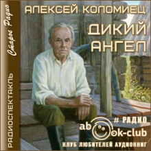 Аудиокнига Дикий Ангел — Алексей Коломиец