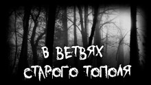 В ветвях старого тополя - Владимир Леонтьев