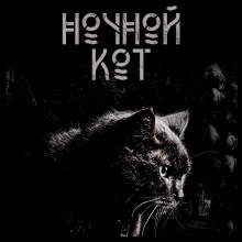 Ночной кот — Сергей Стэн