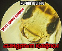 Аудиокнига Синдром Кафки — Роман Незнаю