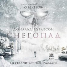 Снегопад — Дональд Бурлесон