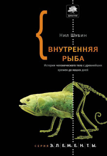 Внутренняя рыба. История человеческого тела с древнейших времен до наших дней — Нил Шубин