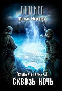 Аудиокнига Судьба Сталкера. Сквозь Ночь — Denis Morphine