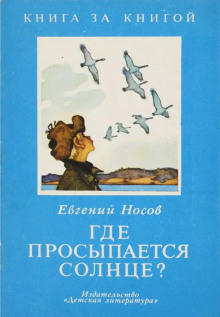 Где просыпается солнце? — Евгений Носов