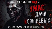 Кто-то спустился по лунному свету - Олег Новгородов